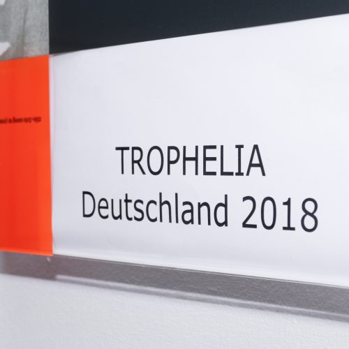 Ideenwettbewerb TROPHELIA 2018